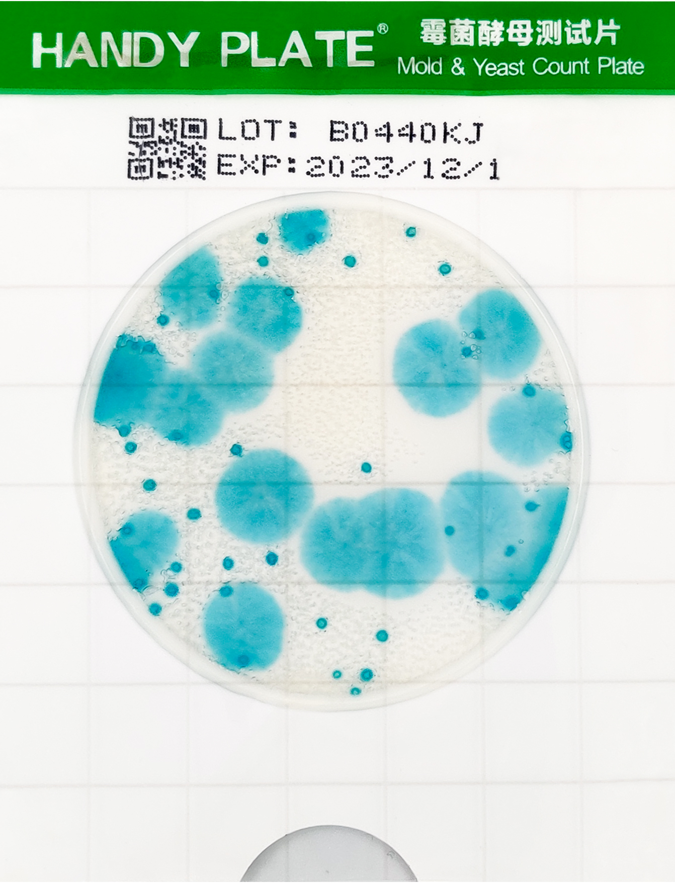霉菌酵母检测片判读