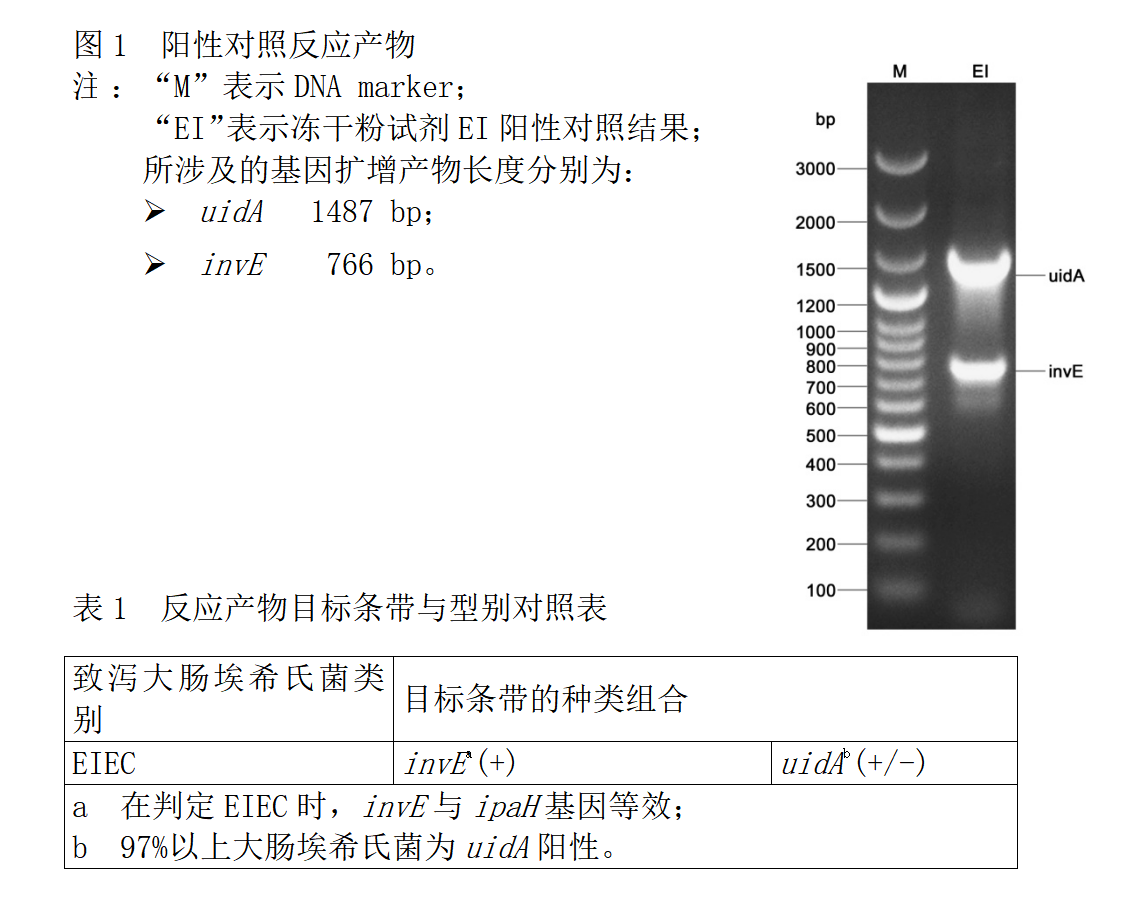 EIEC多重PCR检测试剂盒结果判断