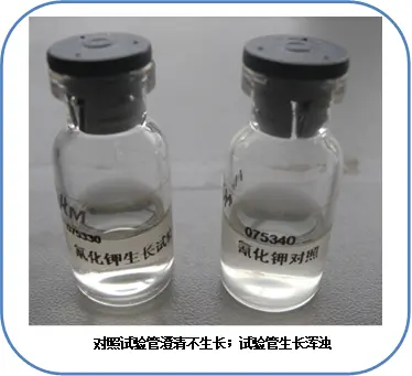 氰化钾利用阴性结果 氰化钾利用阴性结果