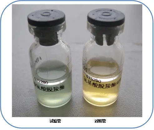 赖氨酸脱羧酶试验阳性 赖氨酸脱羧酶试验阳性