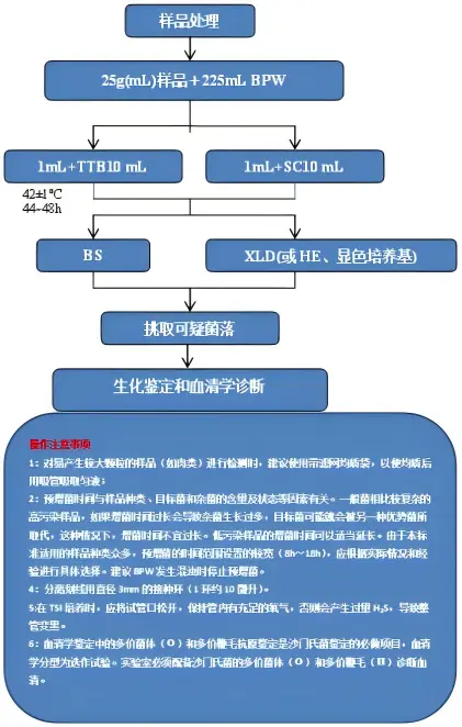 沙门氏菌检验流程及注意事项 沙门氏菌检验流程及注意事项