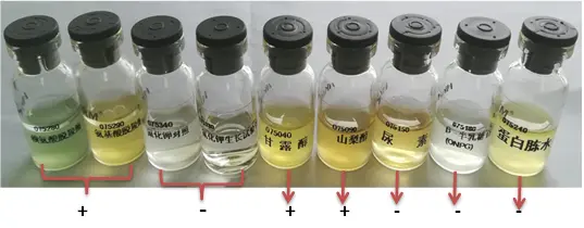 071740 沙门氏菌生化鉴定盒(接种鼠伤寒沙门氏菌的结果) 071740 沙门氏菌生化鉴定盒(接种鼠伤寒沙门氏菌的结果)