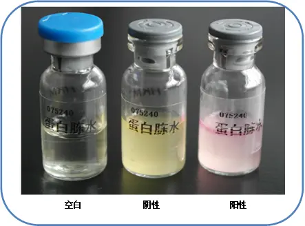 靛基质试验 靛基质试验