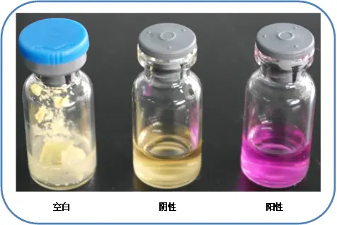 尿素酶试验 尿素酶试验