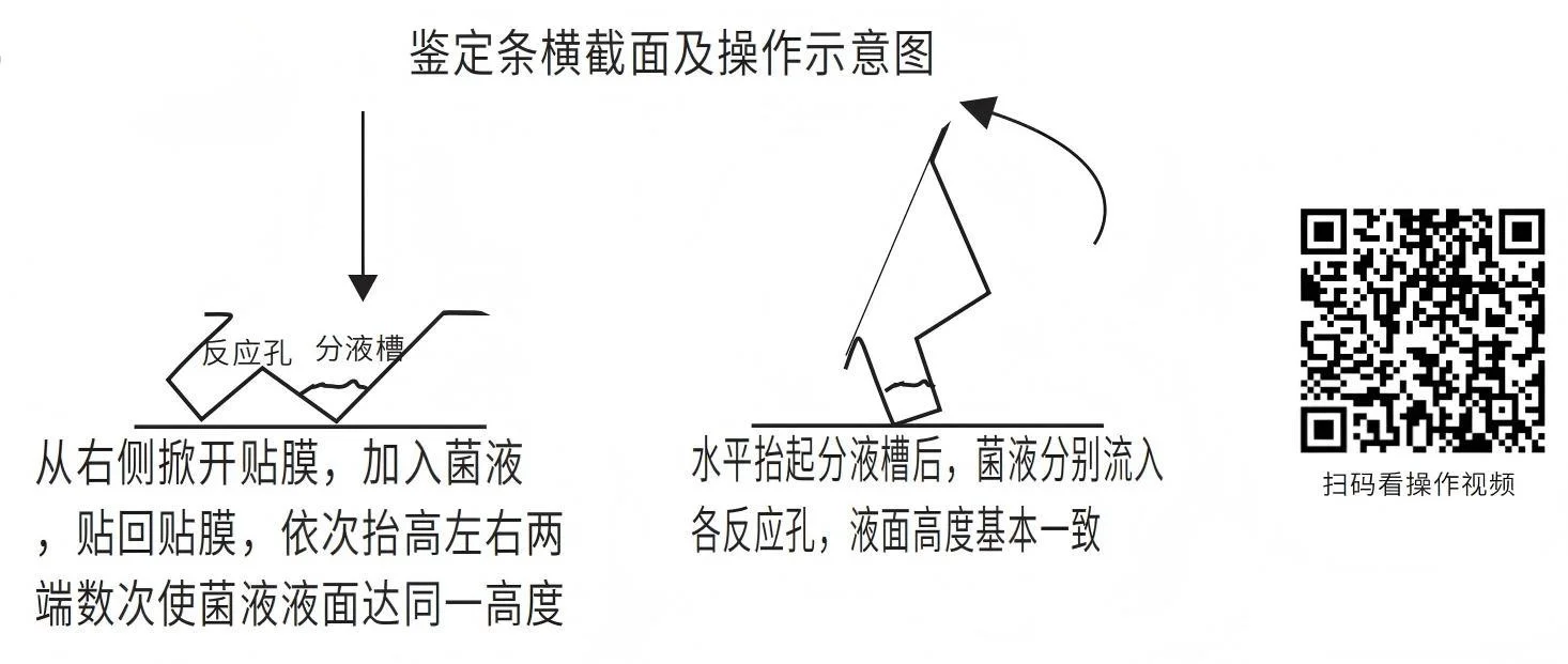 鉴定条横截面及操作示意图 鉴定条横截面及操作示意图
