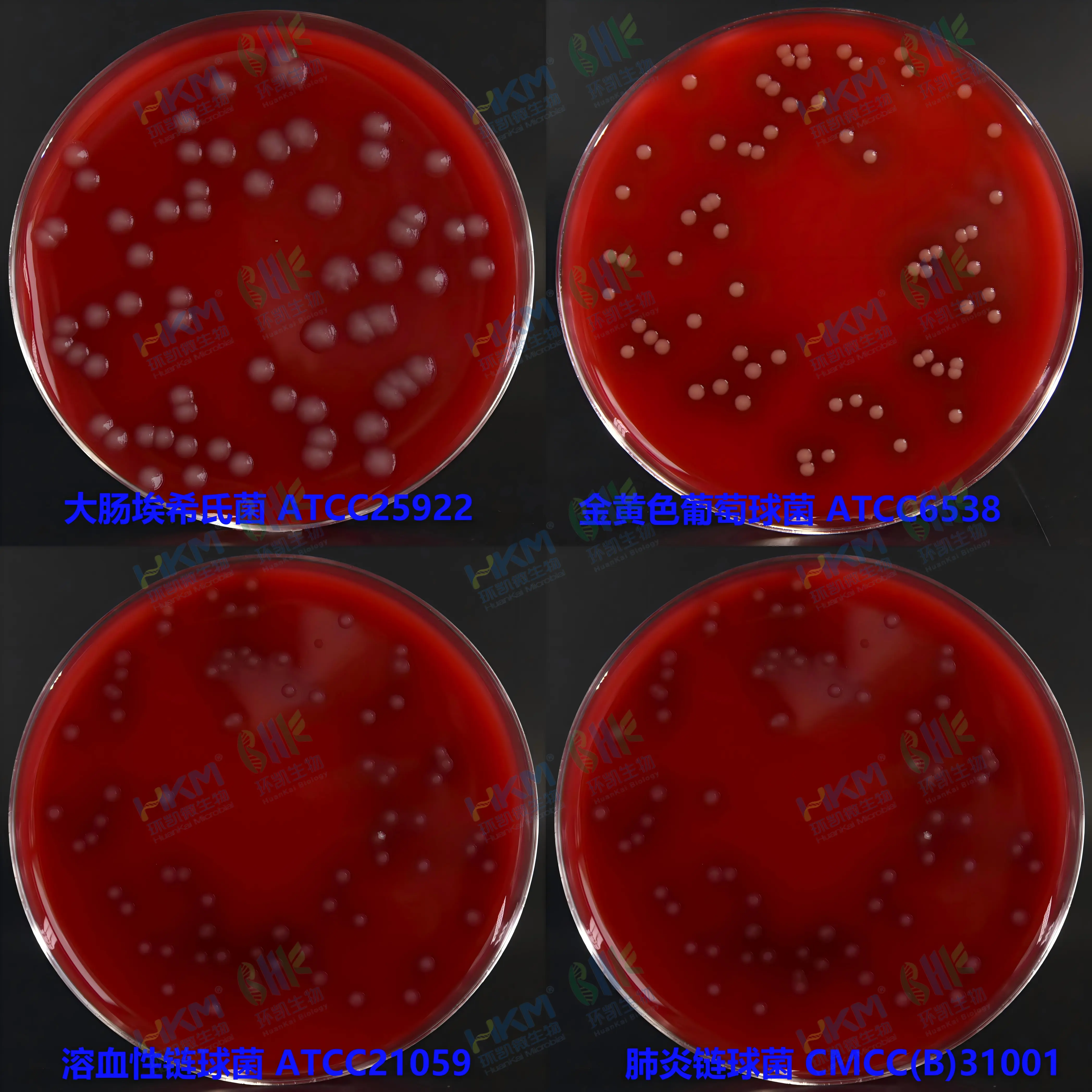 血(琼脂)平板培养基质量 血(琼脂)平板培养基质量
